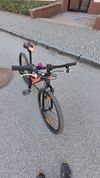 Maxbike M504