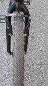 Maxbike M504