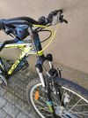 Kellys Alpina ECO M20