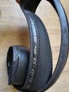 Schwalbe