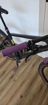 Trek Procaliber 9.5