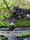 Focus Jam SL 8.8