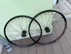 E*thirteen DH 29 wheelset Grappler