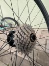 E*thirteen carbon LG1 Race DH