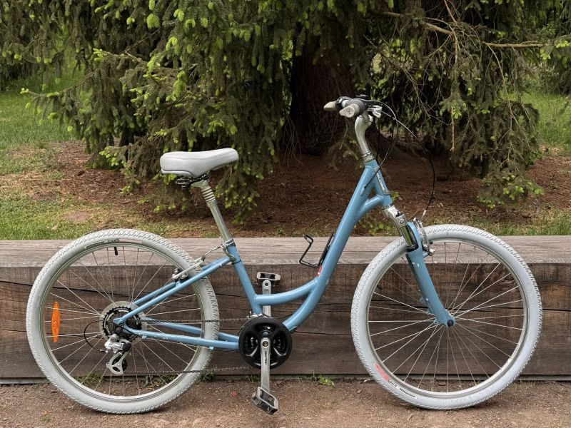 Specialized Globe Carmel