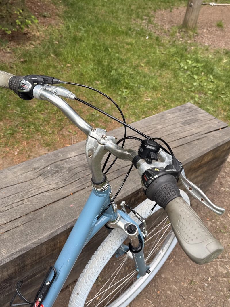 Specialized Globe Carmel