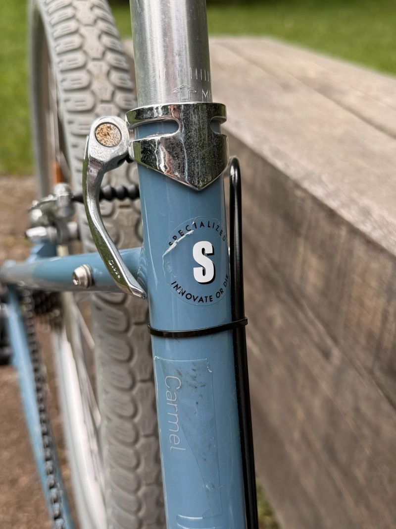 Specialized Globe Carmel
