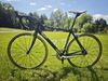 Superior RACING TEAM ISSUE, SH Ultegra, Ksyrium Elite