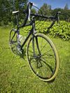 Superior RACING TEAM ISSUE, SH Ultegra, Ksyrium Elite