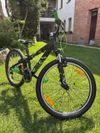 Scott Voltage Jr24