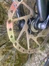 Scott Spark 650
