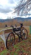 Gravel Apache Gila C1 karb.