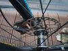 Giant Giant Trance 2 LTD - M, 27.5“