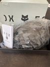Fox speedframe 
