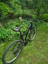 Rockrider ST 50