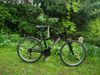 Rockrider ST 50