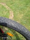 Trek Powerfly 5