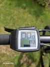 Trek Powerfly 5