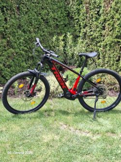 Trek Powerfly 5