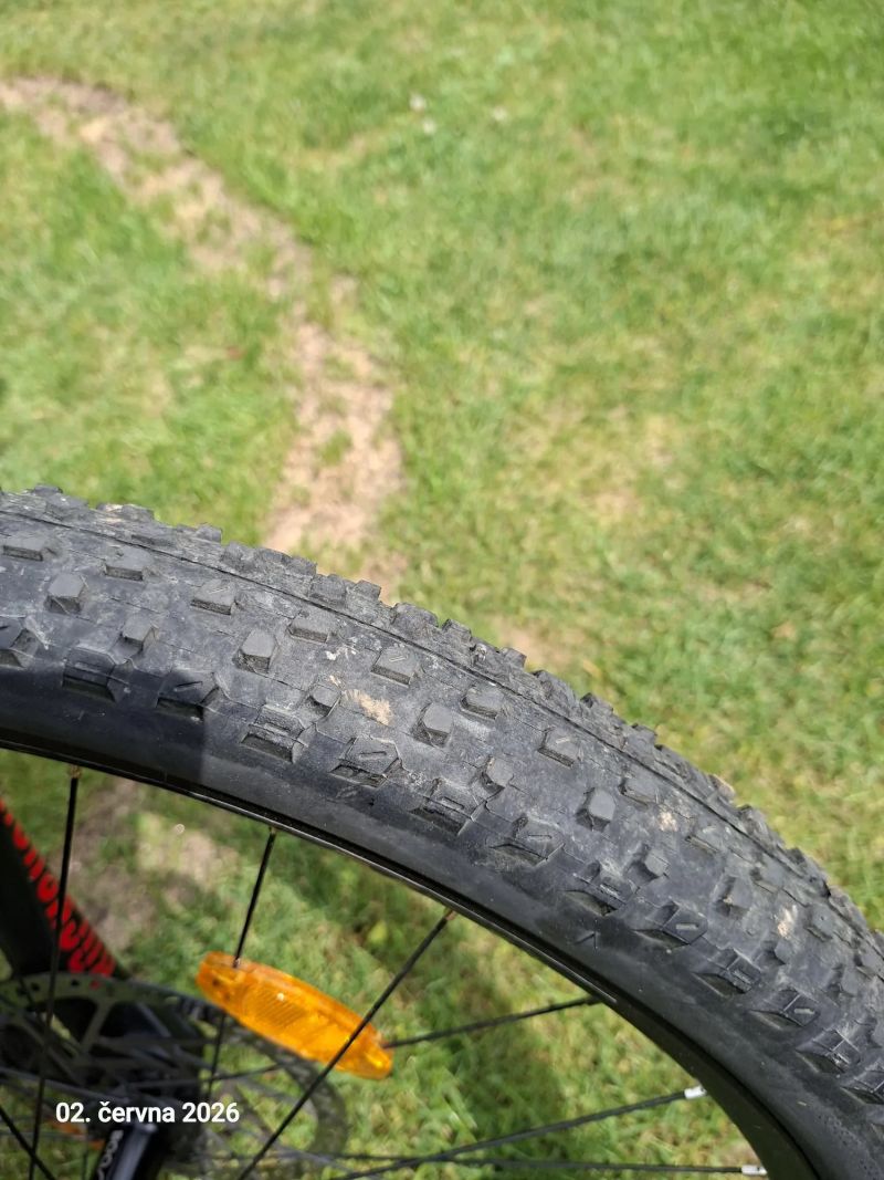 Trek Powerfly 5