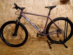 Specialized Rockhopper 2025 Satin Cast Lilac / Sea Foam, velikost rámu XL