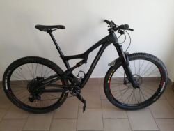 Ibis Ripley