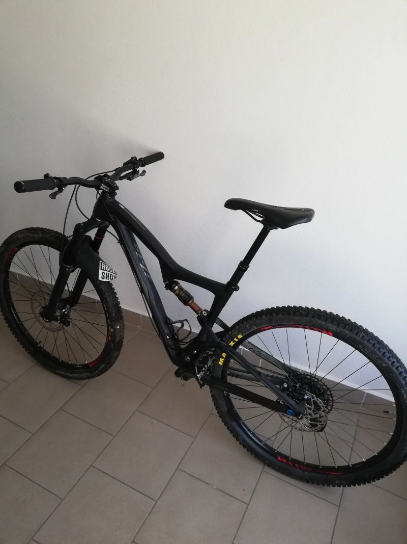 Ibis Ripley