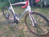 Specialized Roubaix SL4 58 cm, Shimano Ultegra 2x11s, Mavic Ksyrium SLR