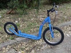 Kostka kid 16