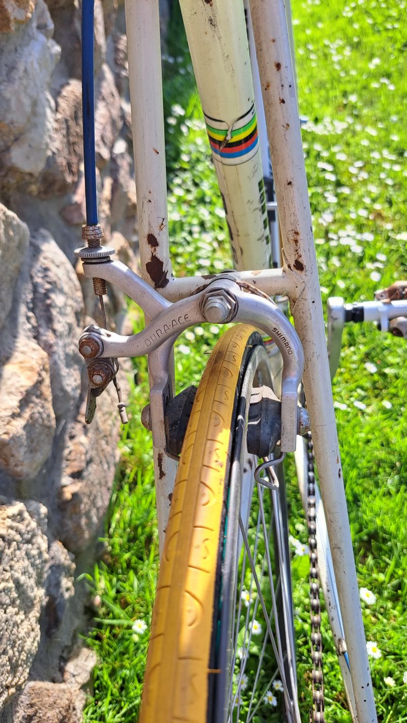 Koga Miyata 