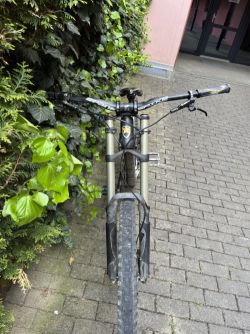 Norco Aurum