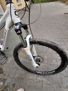 Cannondale Tango