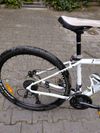 Cannondale Tango