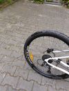 Cannondale Tango