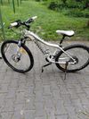 Cannondale Tango
