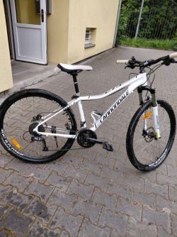 Cannondale Tango