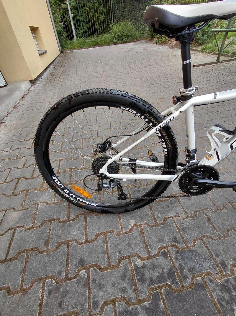 Cannondale Tango