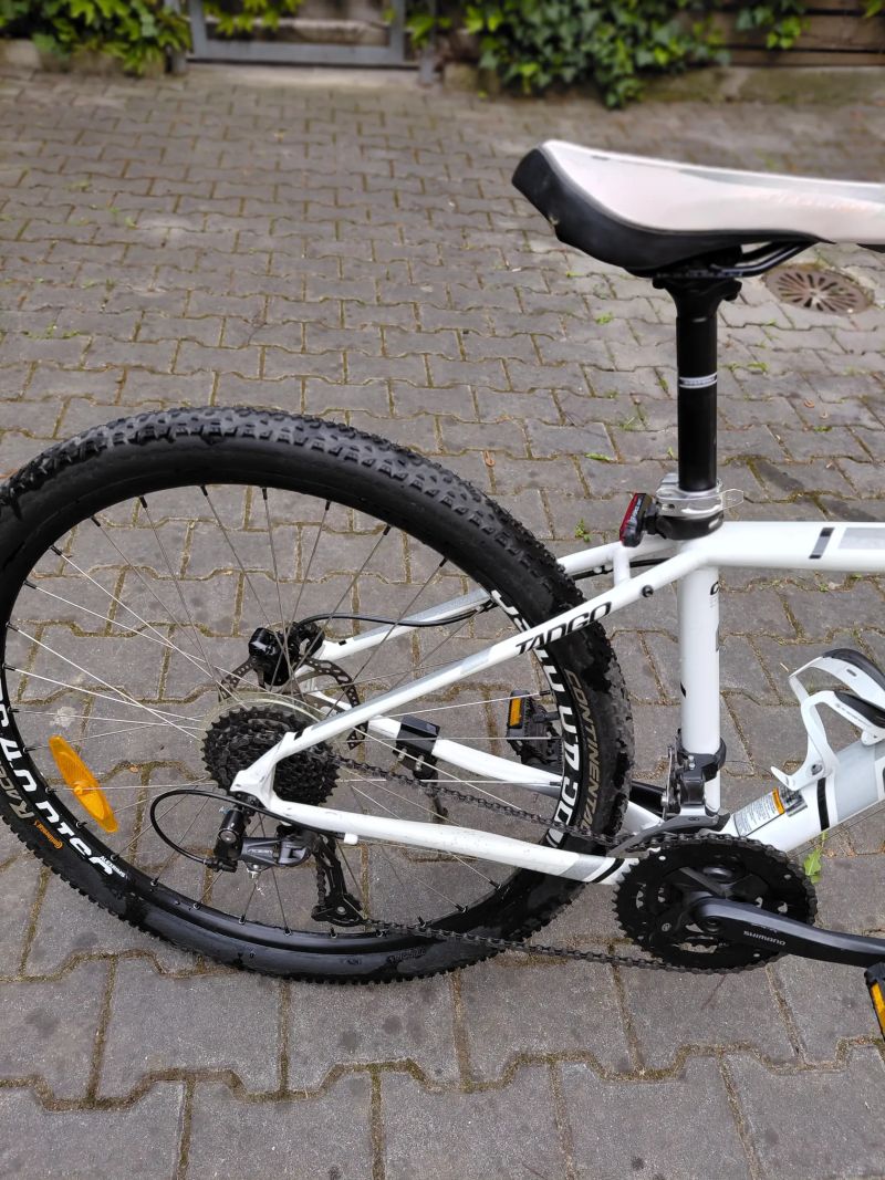 Cannondale Tango