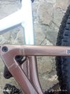 Focus Thron 6.9