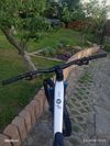 Focus Thron 6.9