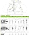 Silniční kolo - Cannondale Synapse Carbon |custom|