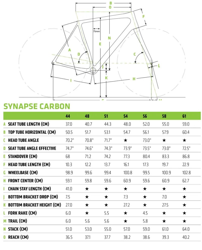 Silniční kolo - Cannondale Synapse Carbon |custom|