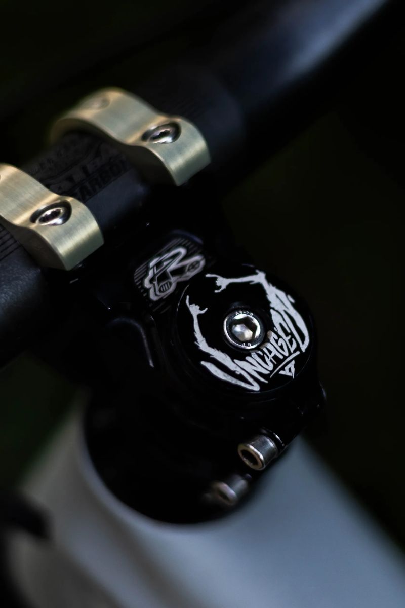 YT Industries Capra Uncaged 6 2025
