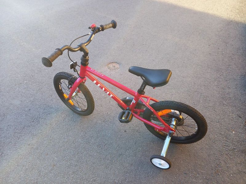 Kogo Levit 16'"