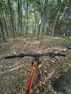 Giant Trance X Advanced E+ Elite 2 (86km!)