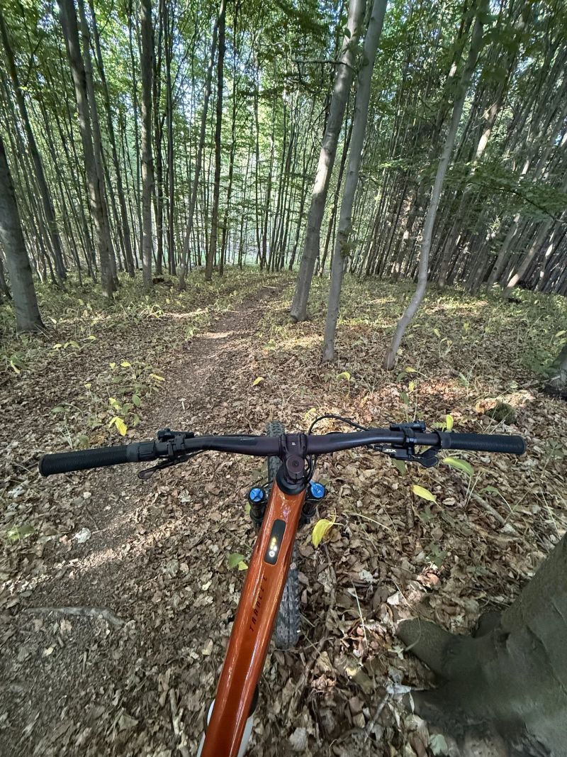 Giant Trance X Advanced E+ Elite 2 (86km!)