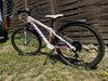 SCOTT SCALE JR 24”