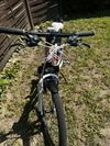 SCOTT SCALE JR 24”