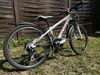 SCOTT SCALE JR 24”