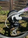 SCOTT SCALE JR 24”